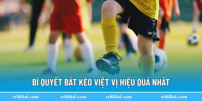 Bí quyết đỉnh cao săn kèo