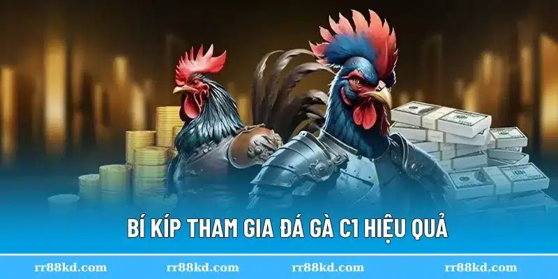 Kinh nghiệm cược đá gà C1 chuẩn