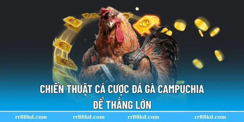 Những kinh nghiệm cược chuẩn khi chơi đá gà Campuchia
