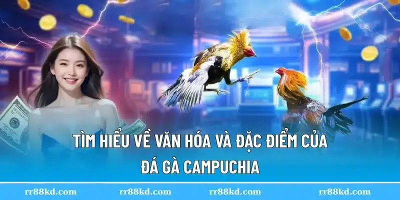 Đá gà Campuchia nổi bật trên thị trường