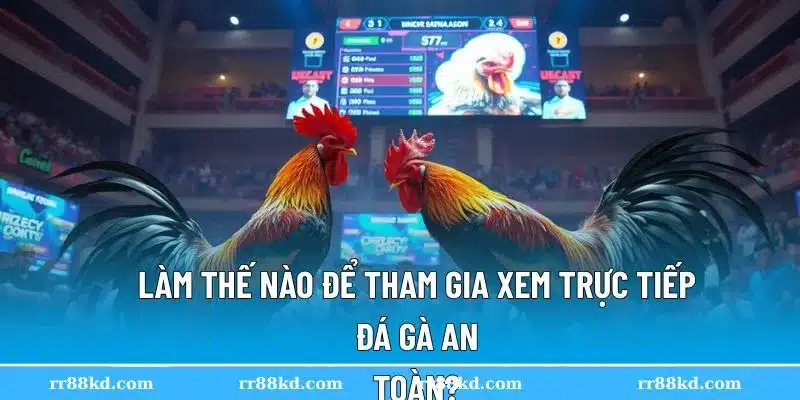 Hướng dẫn cách xem trực tiếp đá gà cho kê thủ