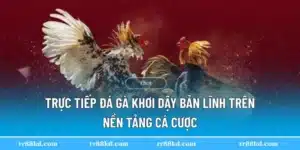 trực tiếp đá gà