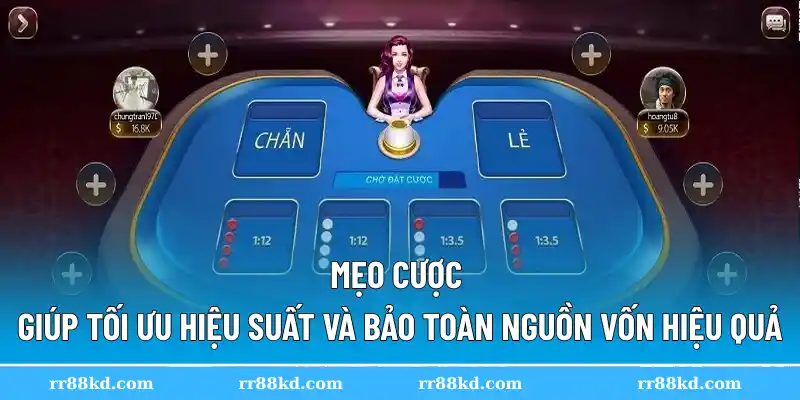 Mẹo cược giúp tối ưu hiệu suất và bảo toàn nguồn vốn hiệu quả
