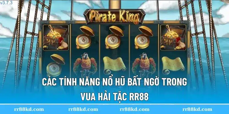 Các tính năng trong Vua Hải Tặc