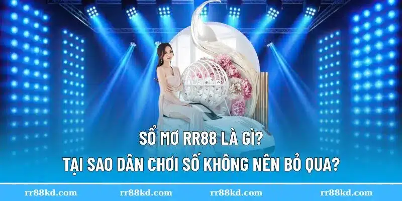 Giao diện tra cứu trên sổ mơ RR88