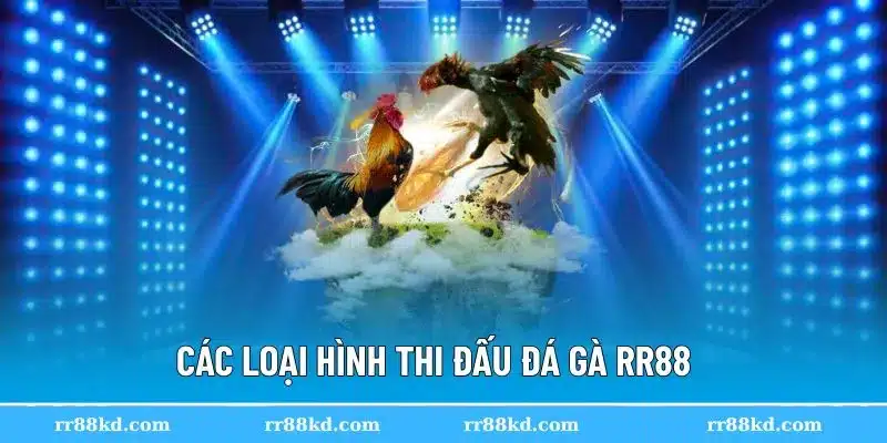 Đá gà RR88 cung cấp nhiều hình thức
